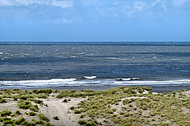 L1000877 -1_t.jpg